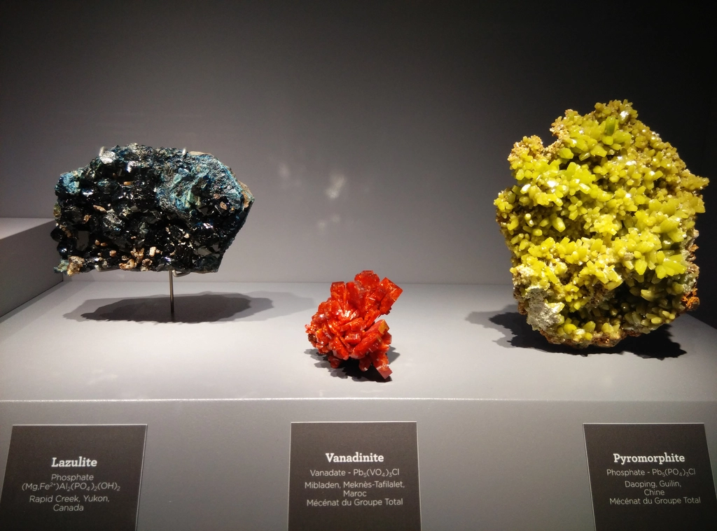 Jd_plantes_10 細看礦物學與地質學館(Galerie de Minéralogie et de Géologie)的各種礦物,會讚嘆大自然的神奇。
