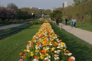 巴黎植物園區像是巴黎的綠色心臟