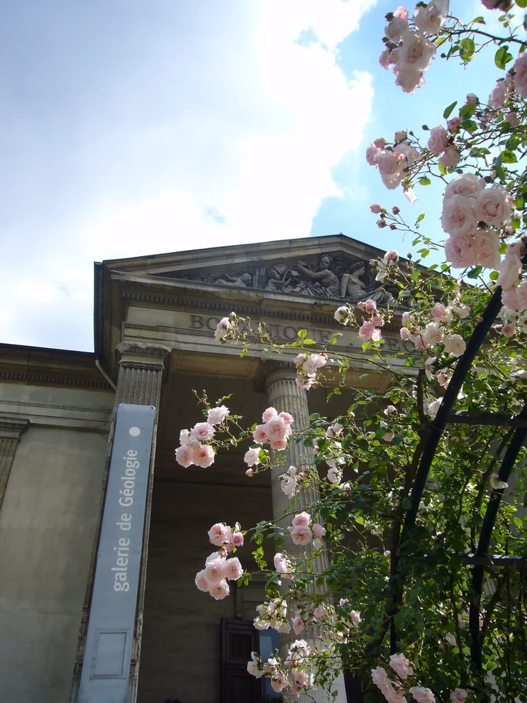 巴黎植物園裡的礦物學與地質學館(Galerie de Minéralogie et de Géologie)
