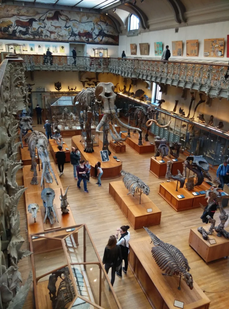 古生物學與比較解剖學館的空建本身就是新藝術風格