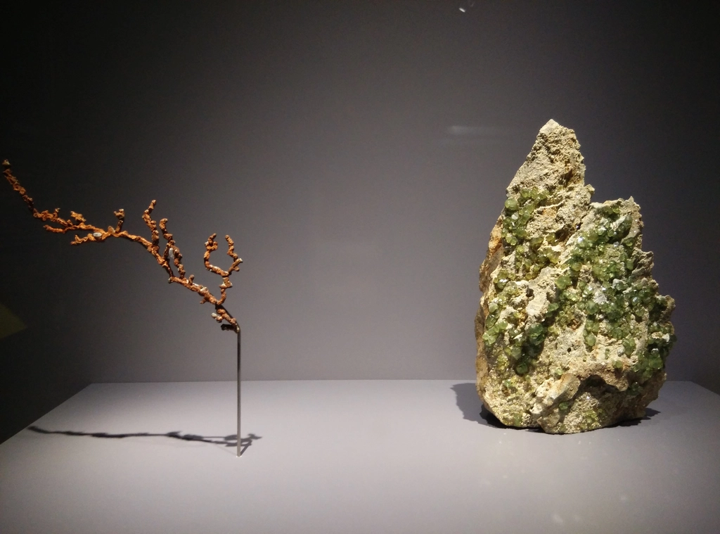 礦物地質學館裡的礦物石收藏