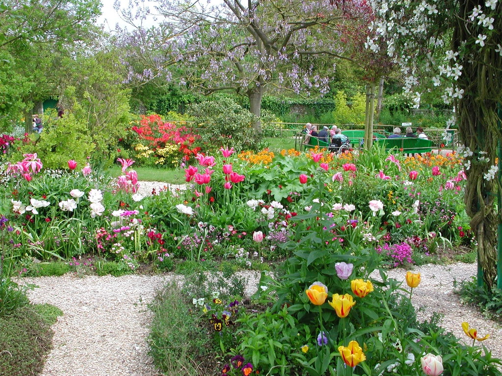 吉維尼莫內花園的不同品種花草