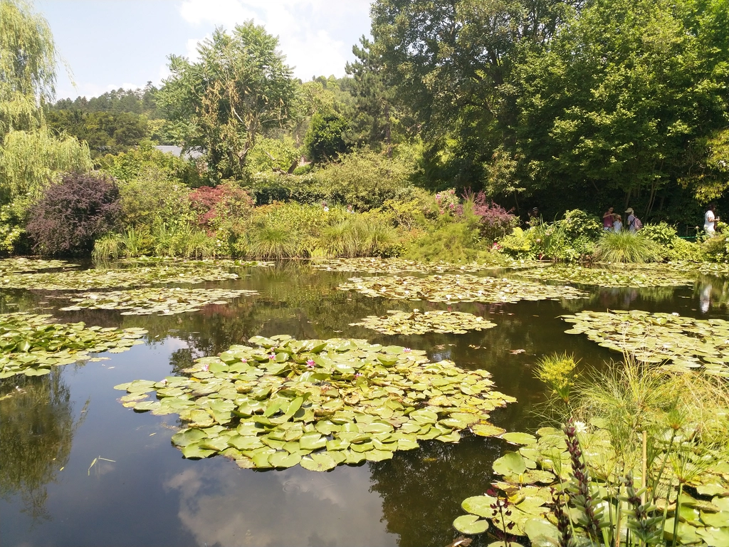 吉維尼莫內花園水池