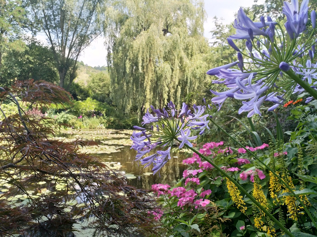 吉維尼莫內花園水池