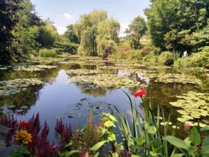 吉維尼莫內花園池塘