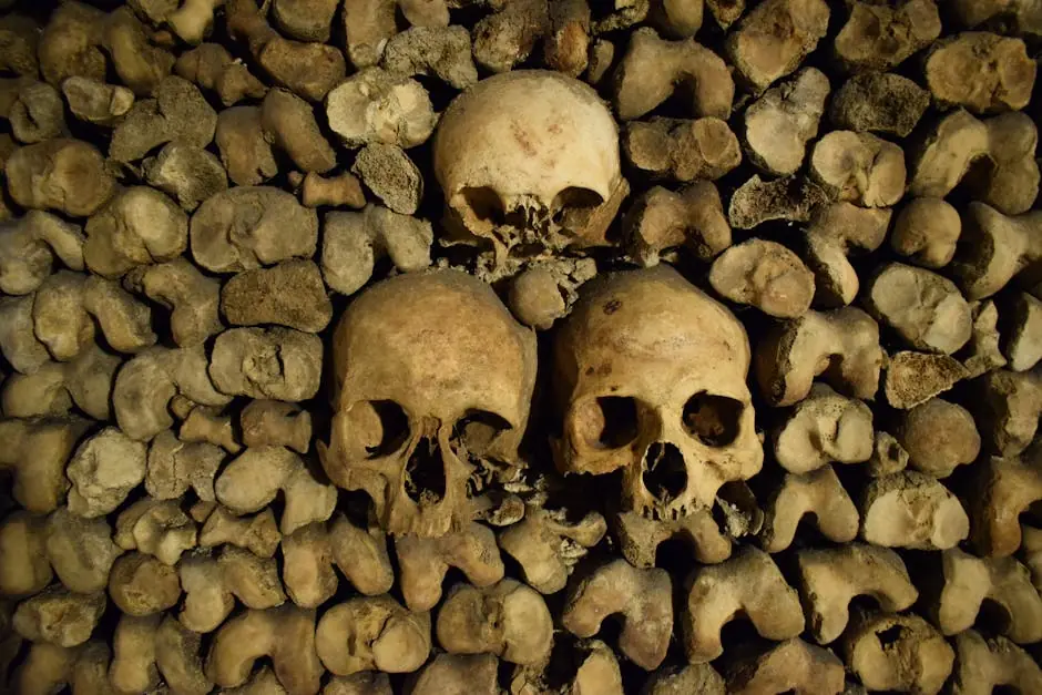 Skulls and bones stacked in the Paris Catacombs, creating a haunting display.