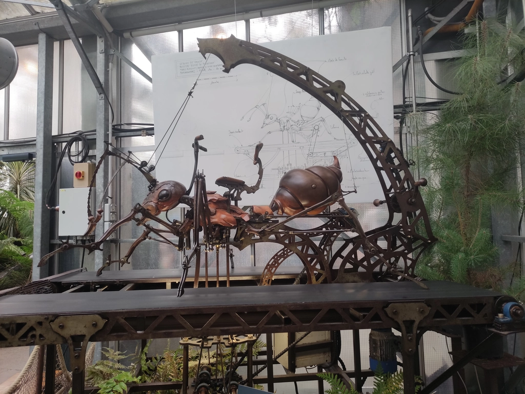 南特島機械大昆蟲螞蟻