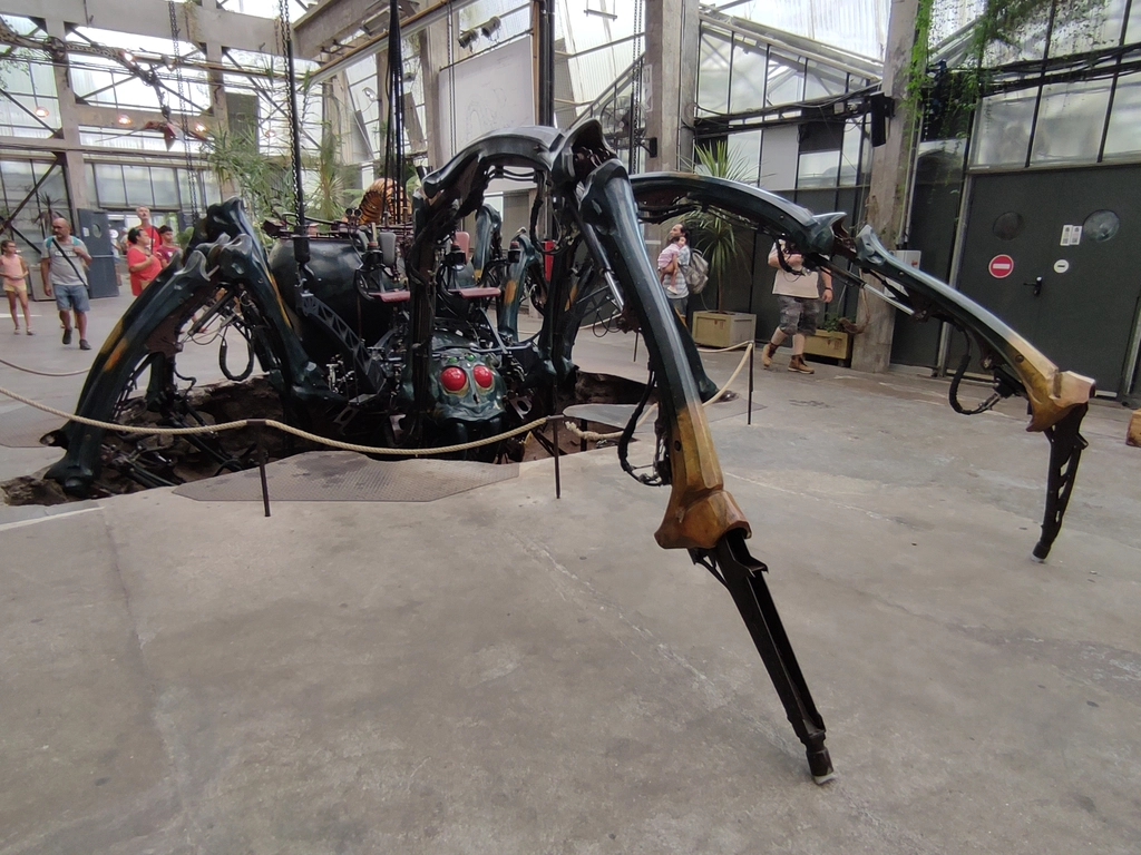 南特島機械大昆蟲蜘蛛