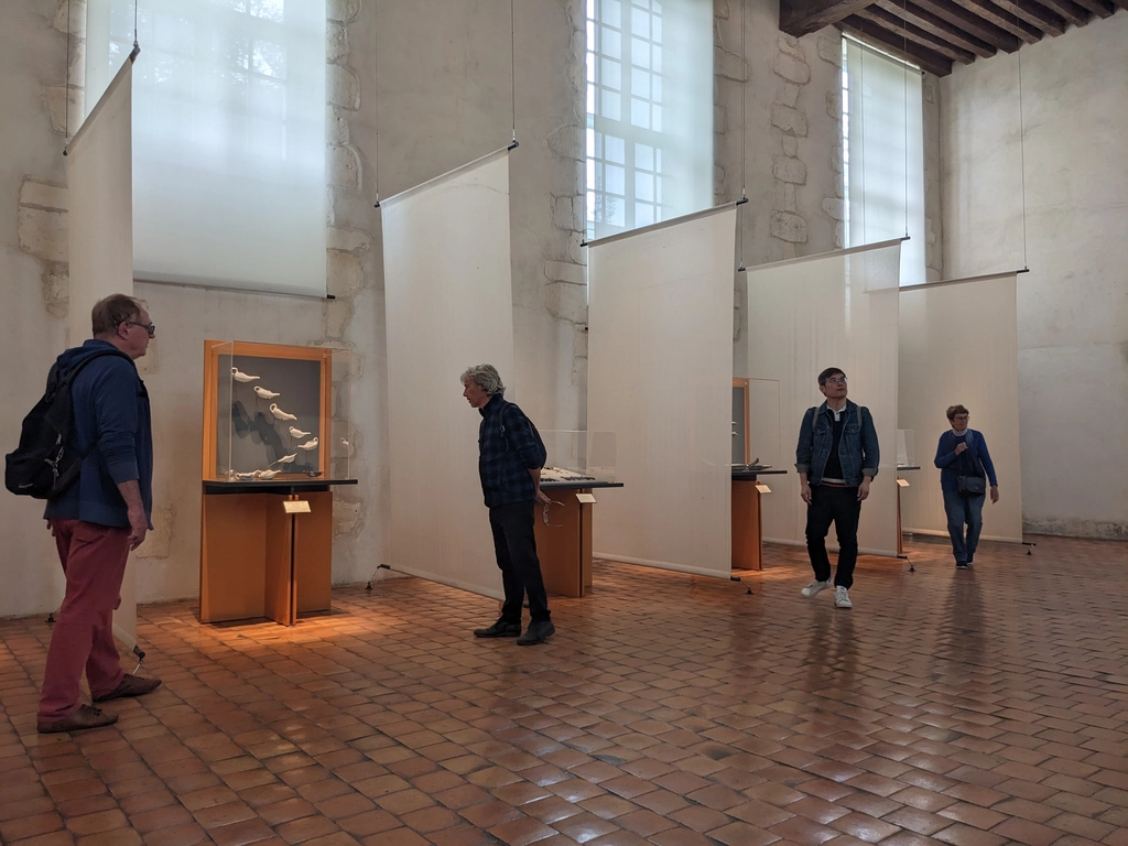 聖羅克醫院博物館醫療器具展出