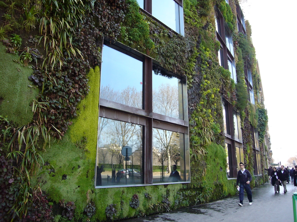 布朗利博物館壯觀的垂直植物牆