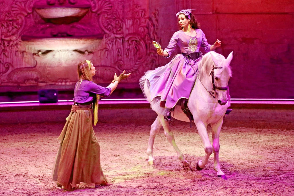 Spectacle équestre