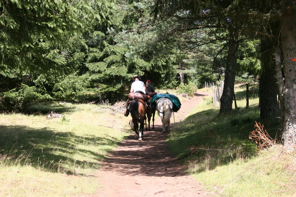 法國中部 Puy de Dôme