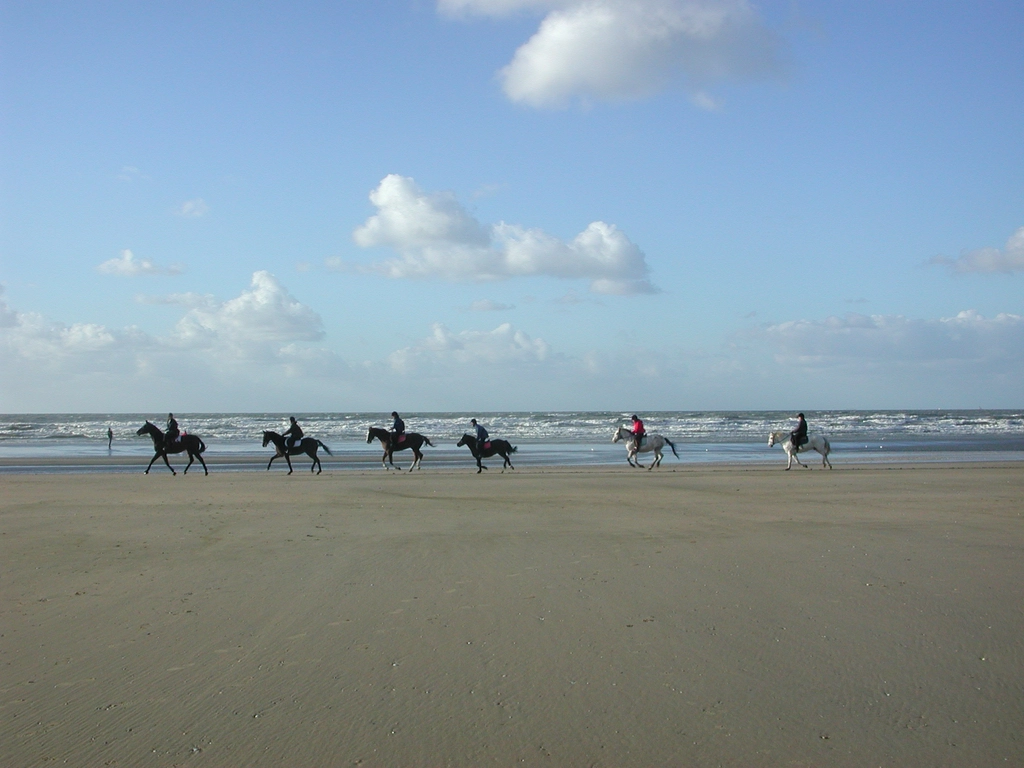 法國北部諾曼第 (Normandie)