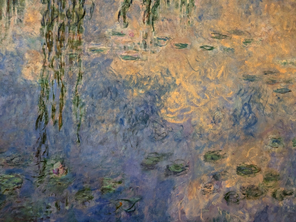 橘園美術館 (Musée de l'Orangerie) 的莫內「睡蓮」作品局部