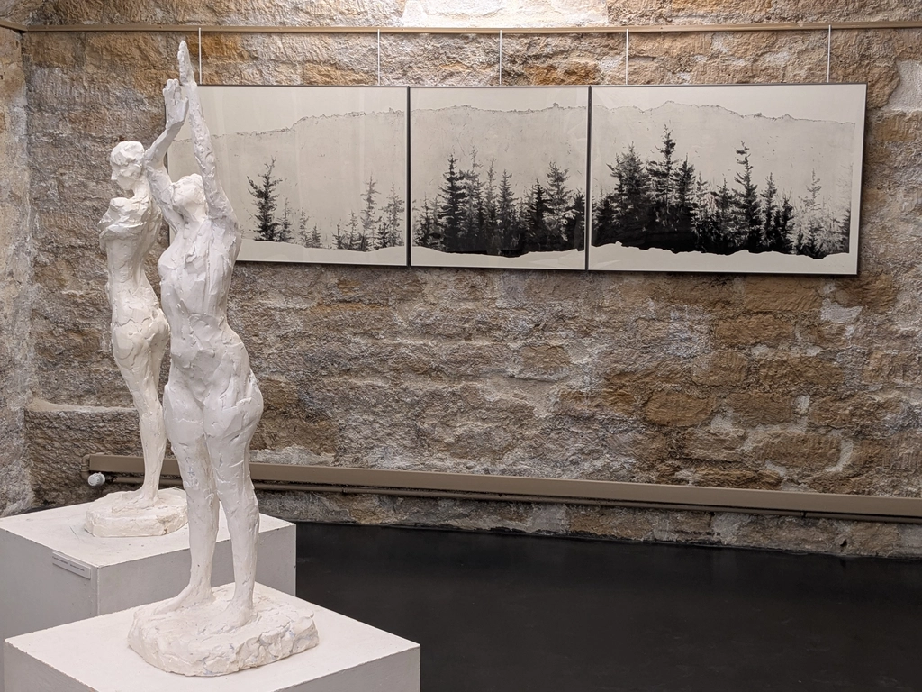 泰勒基金會 (Fondation TAYLOR)展出David MAES 的 版畫作品