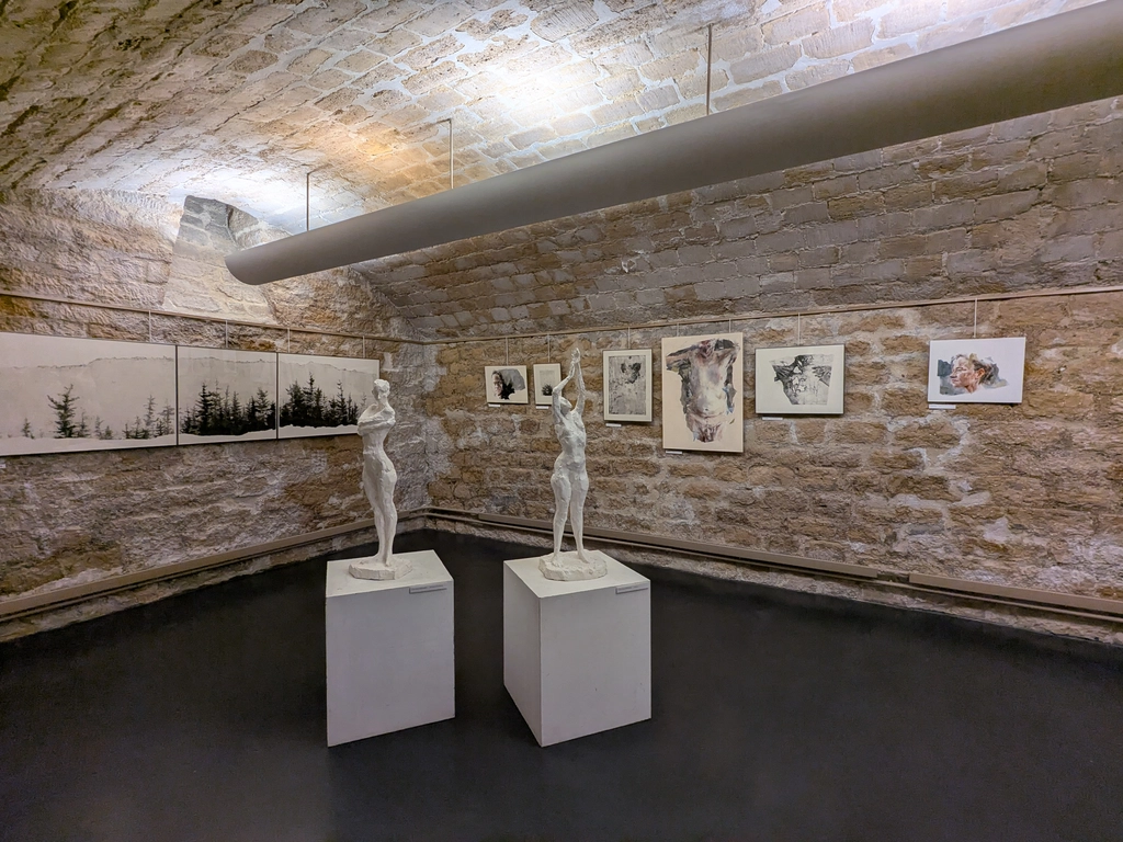 泰勒基金會 (Fondation TAYLOR)的地窖也是展覽場