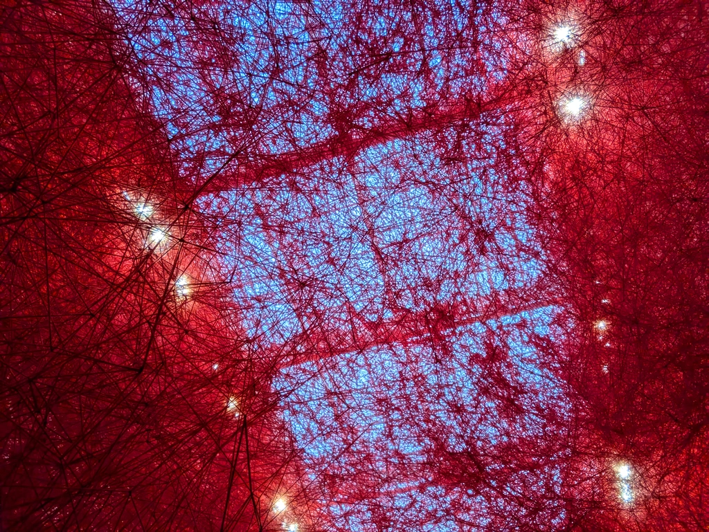 2024年年底的鹽田千春特展紅色線絲空間