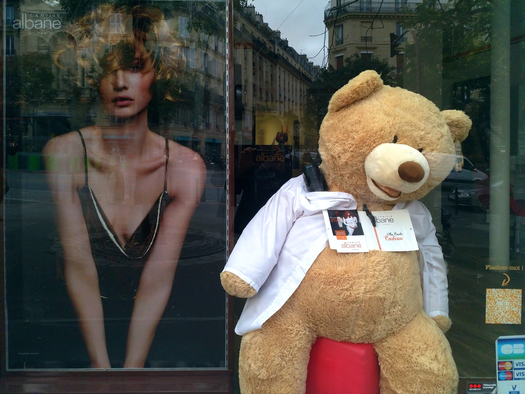 在巴黎藥妝店裡的戈伯蘭泰迪熊 (Les Nounours des Gobelins)