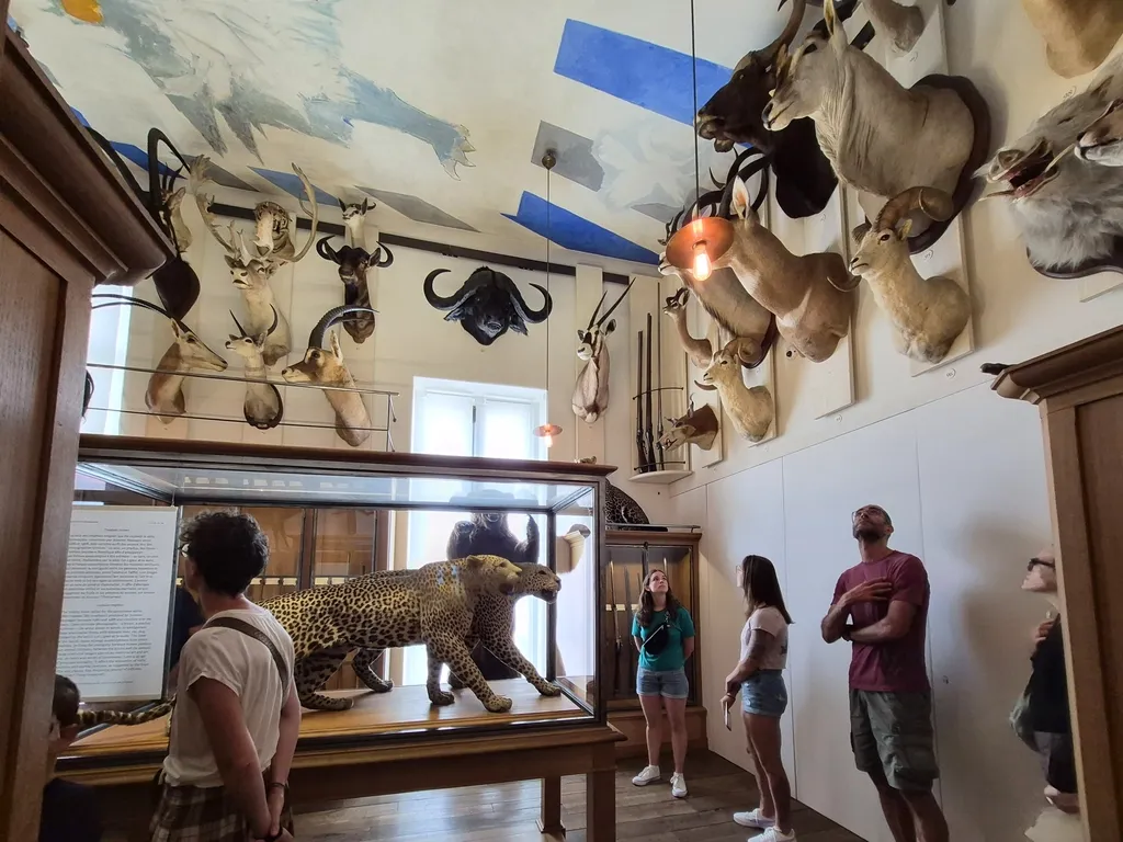 最會說故事的巴黎狩獵自然博物館 Musée de la Chasse et de la Nature 攻略